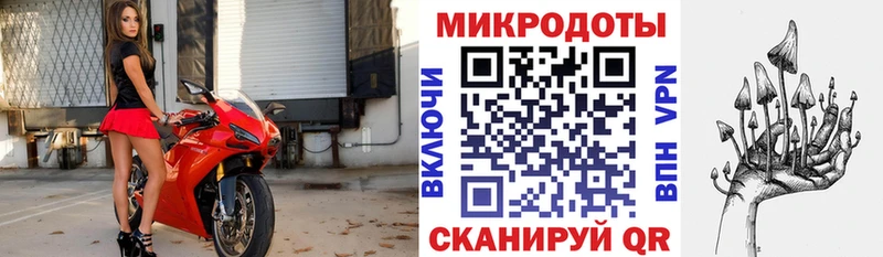 Галлюциногенные грибы мицелий  Рубцовск 